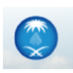 Ù…Ø­Ù…Ø¯ Ø¨Ù† Ø¹Ø¨Ø¯ Ø§Ù„Ù„Ù‡ Ø§Ù„Ø­Ø³Ù† 